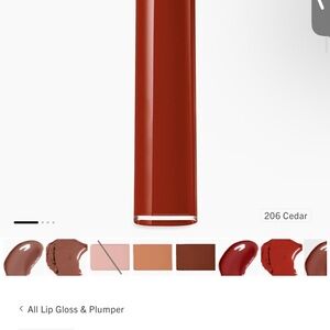 Giorgio Armani Lipstick in Cedar